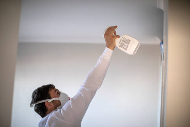 Best Mold Removal Process  in Dewey Humboldt, AZ